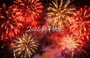 麗水威儀自動(dòng)化技術(shù)有限公司祝大家新年快樂(lè)！